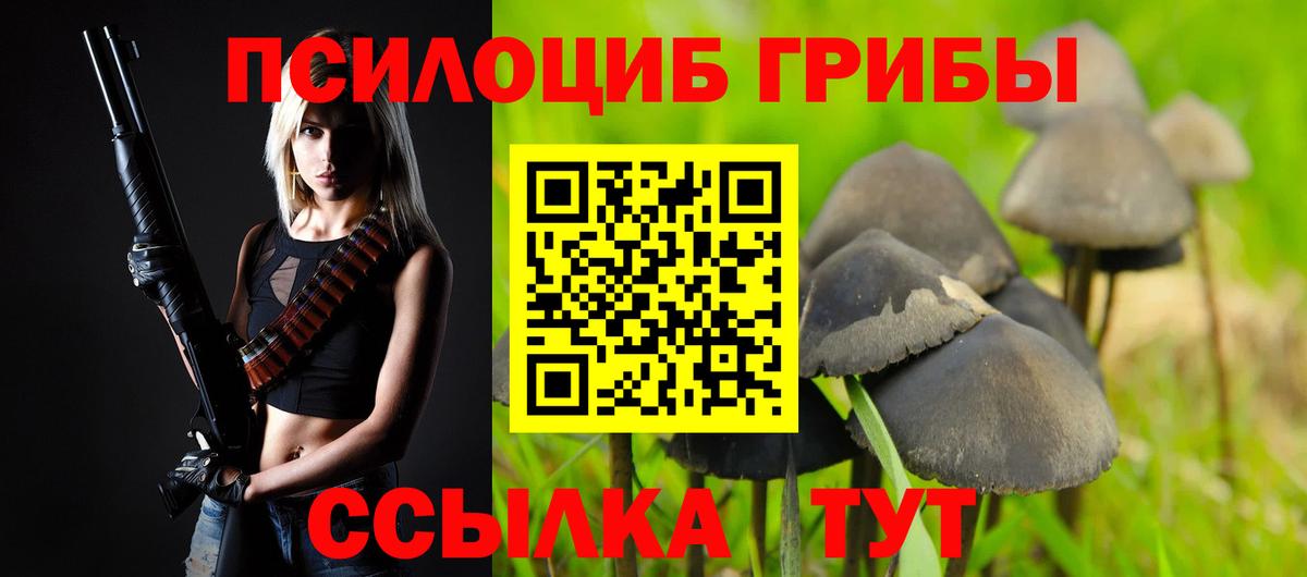Псилоцибиновые грибы Psilocybe  купить  сайты  Псилоцибиновые грибы Psilocybe  Сорочинск  Вход с VPN 